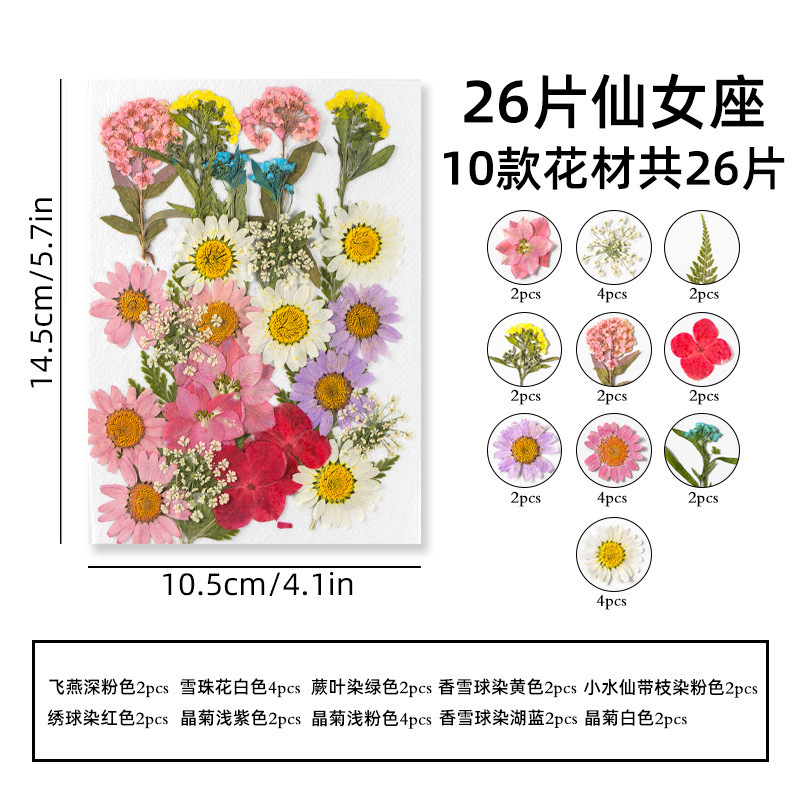 Marcapáginas de flores secas, material artesanal hecho a mano, colección infantil de otoño, libro en la botella, espécimen de hoja transparente, película de sellado de plástico