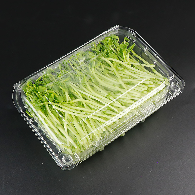 蔬菜盒35