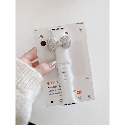 速賣通外貿秋季新款代發 Watch Accessories Tools 飾表帶適用于