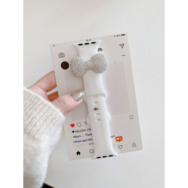 速賣通外貿秋季新款代發 Watch Accessories Tools 飾表帶適用于