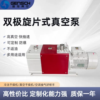 双级直联式旋片泵 功率4.7KW  高真空国产泵 质保一年