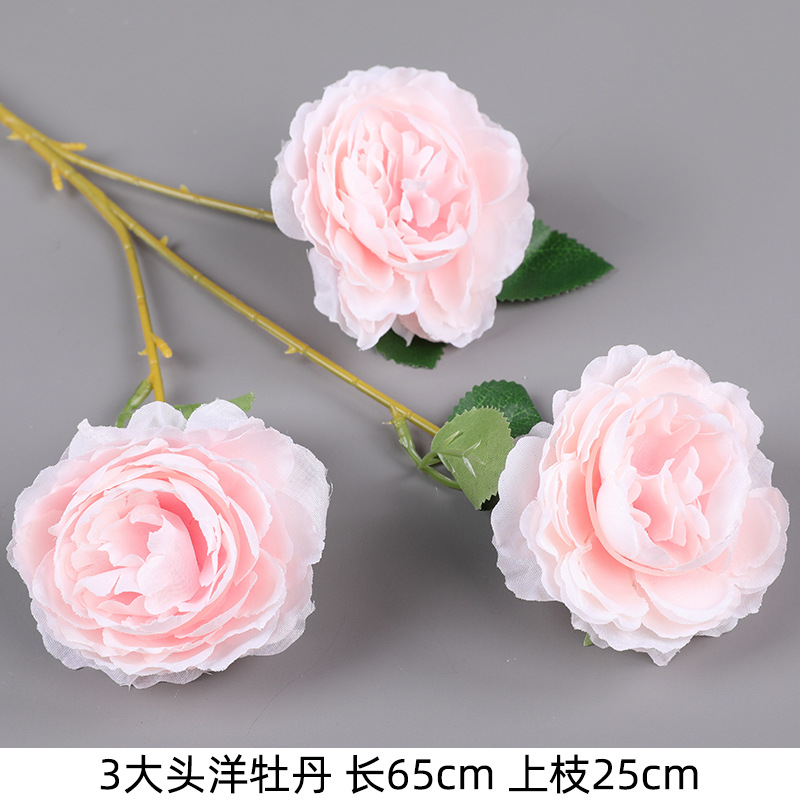 세 머리 모란-핑크