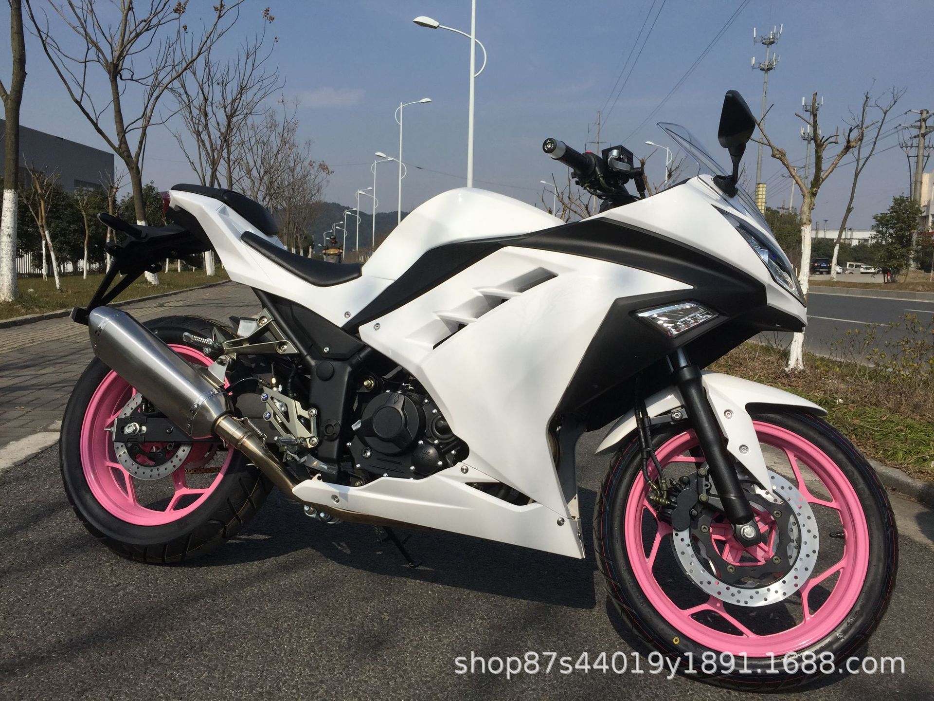 License-able motorcycle Kawasaki Ninja, twin-cylinder racing replica, Horizon sportbike, adult gasoline-powered sportbike, complete vehicle