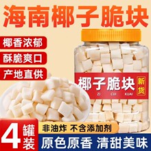椰子脆块椰子片脆片椰子肉香烤椰子角海南特产小吃办公室休闲零食