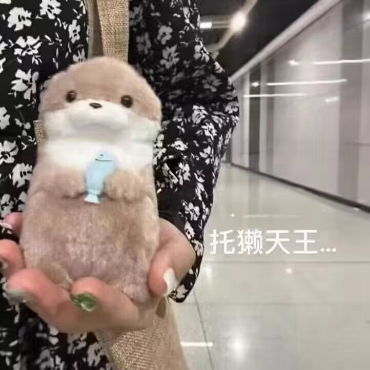Otter Holding Fish Ugly Cute Little Can Otter Doll Pendant Internet Red Wind Doll Birthday Gift Ornaments for Girlfriend