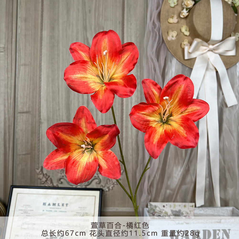 FS-Hemerocallis Lily-Đỏ cam