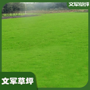 Customized Green Lawn Community Garden Green Flower Project Lawn Football Field Golf Course Park Sijiqing