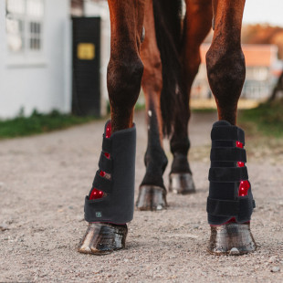 Red LIGHT Infrared Pet Sports Wound Recovery Horse Leg Portable PhotoTHERAPY LED LIGHT Therapy