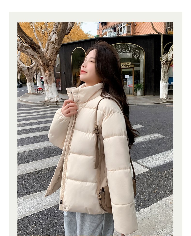 Women's Down Coat Winter Cotton Jacket Standing Collar Loose Fit_voghion.com