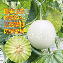 �A���G������ϷN�ӹ��⼚āŴ�����ǻС�������¶���÷N