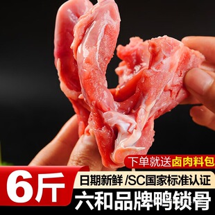 ���i�����r���r��؛���i�����������������������������l�uζ