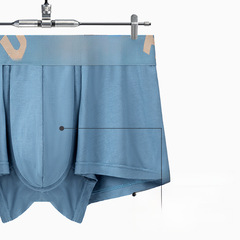 Summer New Antibacterial Undershorts Men's Seamless Ice Silk Straight Pants Student Youth Men's Four-Point Wholesale