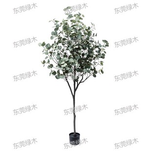 Artificial Eucalyptus Potted Plant �ȼ�����������