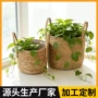 定制植物特大号盆栽花盆