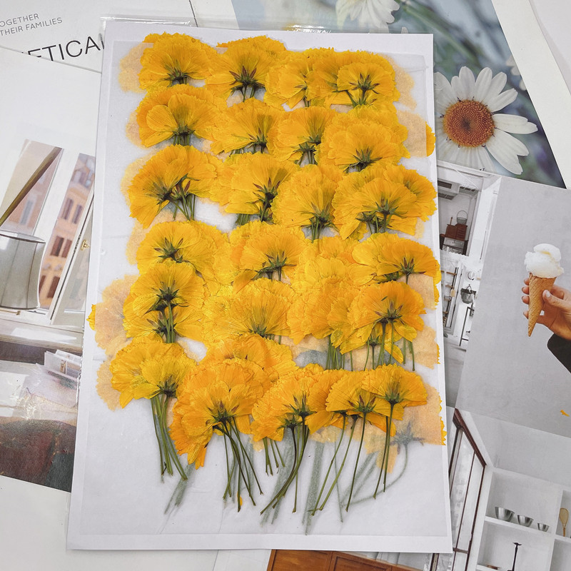 微信图片_20220919171219