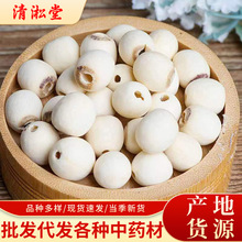 ���lɏ�� ��ɏ�ӼtƤɏ�Ӱ�ɏ��ɏ��о���NҎ�� ����ă�һ�����l