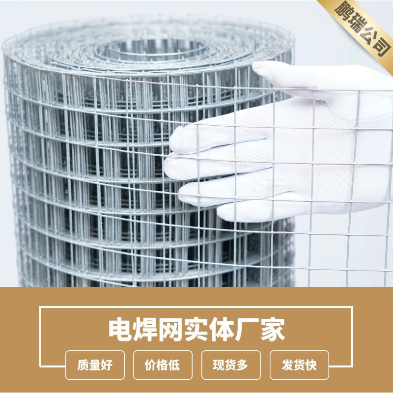 厂家现货铁丝网3cm孔电焊网养殖网跨境亚马逊热镀锌电焊网铁丝网