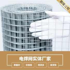 厂家热镀锌电焊网2.5cm电焊网养殖网圈地网镀锌铁丝网