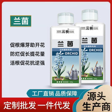 �m���m������l�m���ƻ��΢��������m�`���־��Ʋ���ֲ������