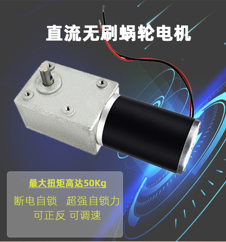 DC 감속 모터, 고토크, 저소음, 터보 웜기어, 12V 24V 모터, 저속 속도 조절, 정방향 및 역방향