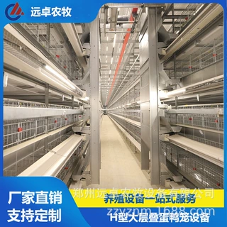 立体蛋鸭笼养鸭 河南信阳五层H型框架自动化蛋鸭笼养 自动捡蛋机