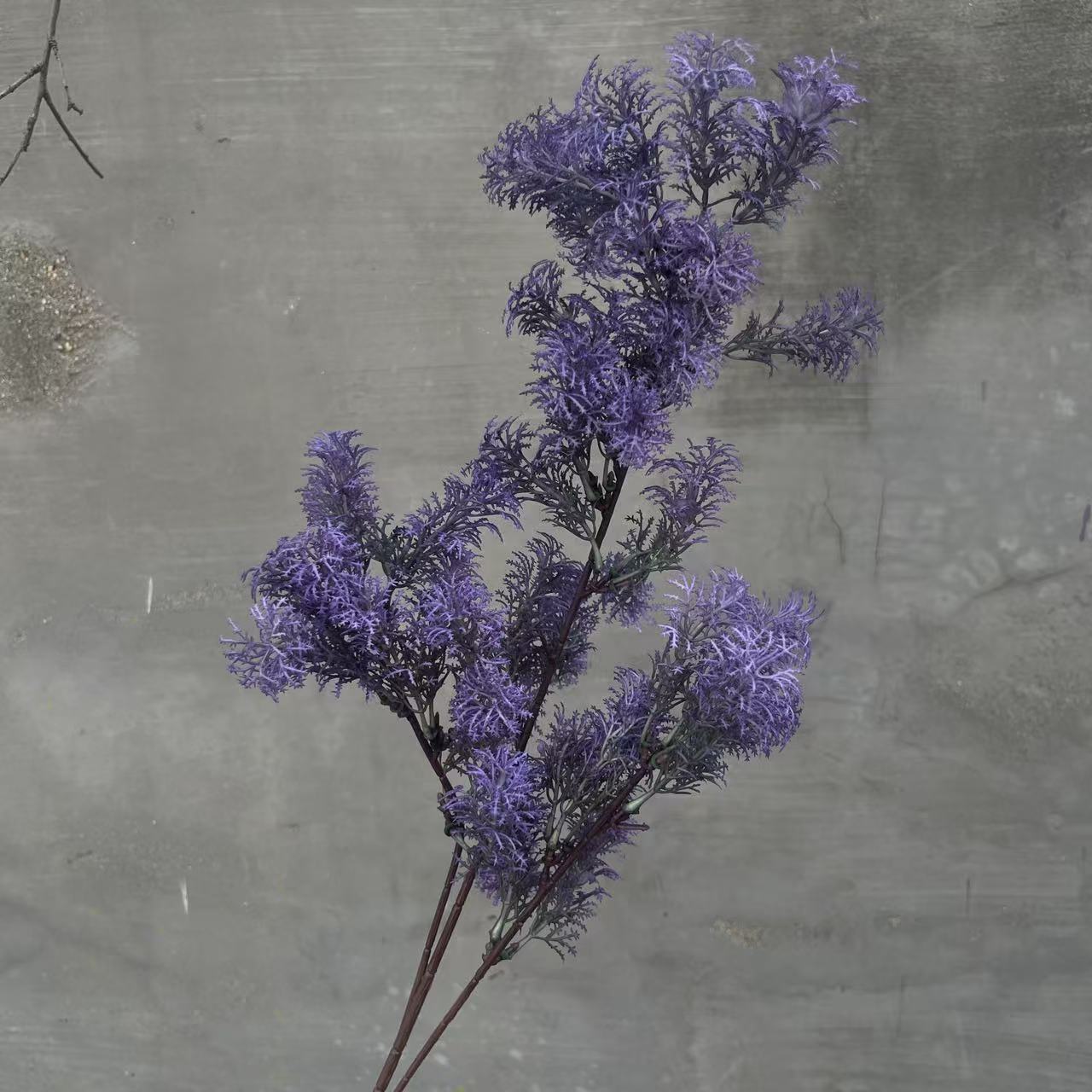 微信图片_20250228161458