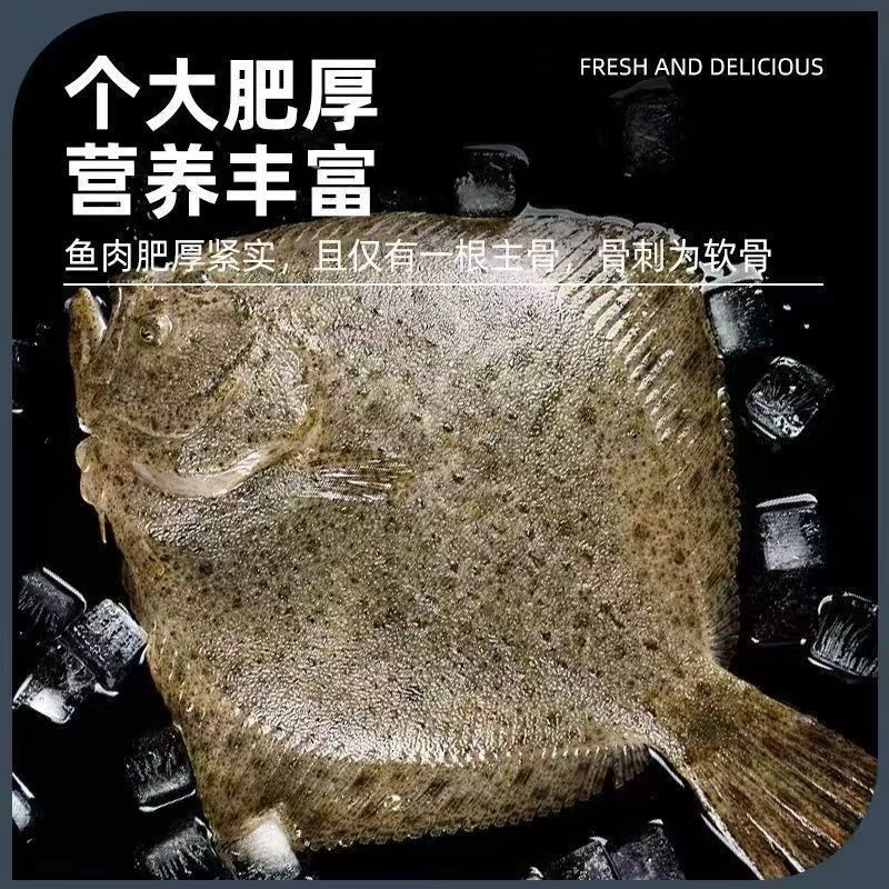 新鲜活冻多宝鱼海鲜比目鱼海鲜冷冻水产批发清蒸鱼红烧食材
