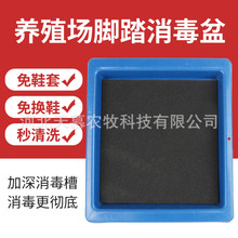 �Bֳ�������_̤���i���Ӻ�������Ь������Ь�в�����Ь��������