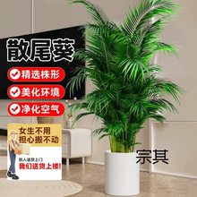 ɢβ���������Ը��FҬ��ֲ�Pβ��W�tֲ��ؿ͏d�҃�