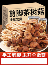 2025云南农家茶树菇干货甄选不开伞切根新鲜茶薪菇香菇蘑菇250g