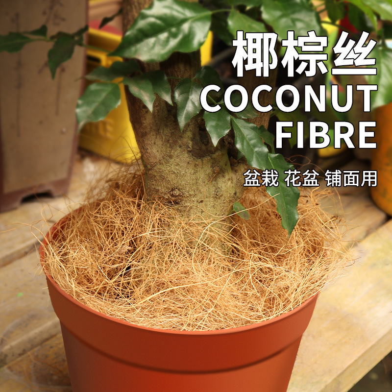 Coconut Palm Silk Potted Beauty Paving Stone Gardening Flower Pot Sun Protection Insect Proof Soil Compaction Decorative Beautification Bonsai