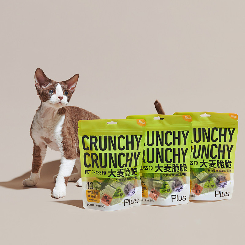 Purrre Crispy Barley Cat Grass Freeze-Dried Granules Cat Hairball Digestion Chicken Snack Hairball Removal Chew Biscuits 50g Purrre Crispy Barley Cat Grass Freeze-Dried Granules Cat Hairball Digestion Chicken Snack Hairball Removal Chew Biscuits 50g