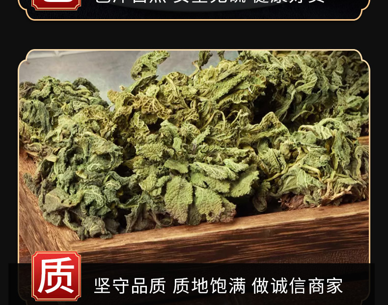 Ha Ma Cao (Salvia plebeia) — Dried Food Herb, 500g Loose Leaf specifications