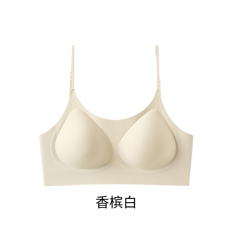 샴페인 화이트