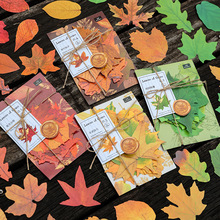 ��Ⱦ�͹��N���� ���~��ϵ�� 50������~���}���~�b��DIY4���x
