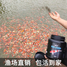 ������òݼ��N�t����ˮ�^�p���~�B�~���ɫ�͵�ˮˮ�t�\���^�p�~