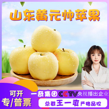 【嚴選】山東黃元帥蘋果 代發3/9斤脆甜多汁糖心富士蘋果新鮮水果