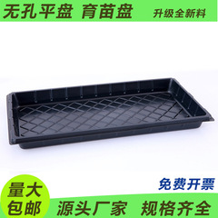 育苗皿穴皿トウモロコシ苗トレー特厚野菜専用鉢イチゴ育苗鉢水植木鉢底托