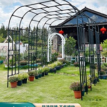 ���T�������Ѽ���ͥԺ�����¼����ټ���\����䓹ܻ��@����֧��