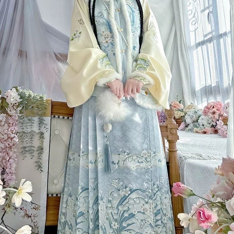 New Adult Ming-Style Hanfu for Women 2025, Ancient Style Winter Thickened Bi-Jia and Mamian Skirt Costume New Adult Ming-Style Hanfu for Women 2025, Ancient Style Winter Thickened Bi-Jia and Mamian Skirt Costume