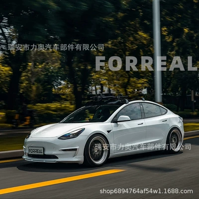 3, Tesla Luggage Rack