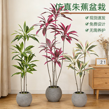 �p���߲��콶�߷���Gֲ�F�������҃ȼҾ��b[��ܛ�b�쾰��ֲ��