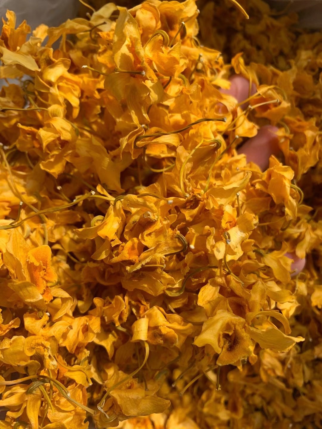 Drumstick Dendrobium Flowers (Dendrobium chrysotoxum) — Yunnan Dried Herbal Flower Tea, 1g overview