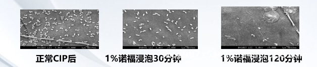 诺福去除生物膜