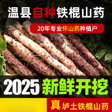 ���Ͻ��������F��ɽș�ؿh�F�U��ɽș���r��ɽș����Ŵ����