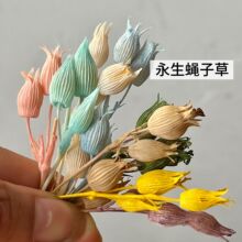 ω�Ӳ������ɻ����W�L����С����diy��ָ����c�ػ��������