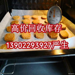 ����ţ������ُ �R����ُ������ �^���N��̎��ѩ�˾