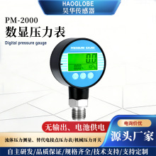 PM-2000���ܔ��@������ �≺Һλ�������F���@ʾ �ضȉ����_�P