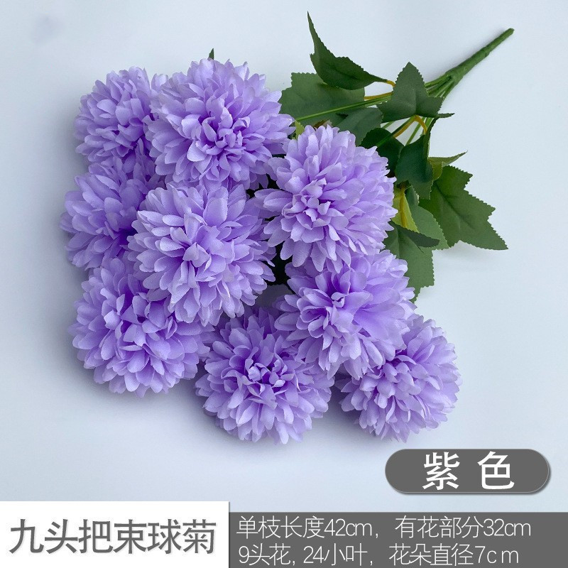 Nine -headed balls of chrysanthemum purple