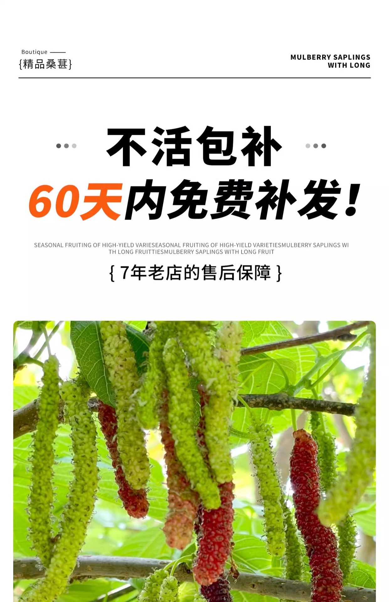 O1CN01LBtYgg1KQs67fnr76_!!2219532571159-0-cib.jpg?sign=583921_Mzg0OTAxODQ5